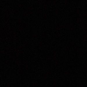 Meet your Posher, Jerry